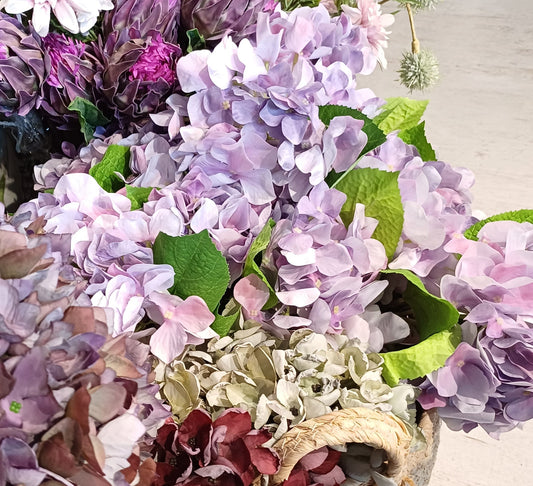 Hortensia stilk i farver i purple.